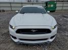 Ford Mustang Gt Image 5