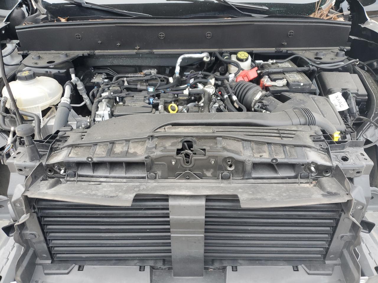 Ford Bronco Big Bend Image 12