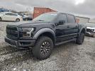 Ford F-150 Raptor Image 1