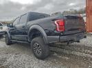 Ford F-150 Raptor Image 6