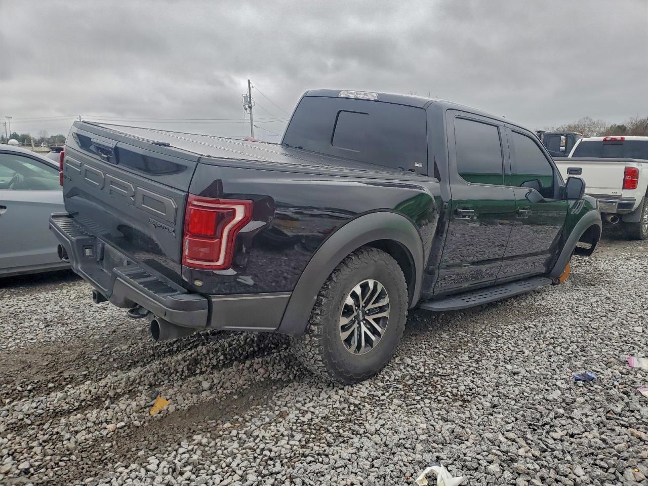 Ford F-150 Raptor Image 5