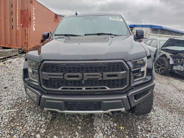 Ford F-150 Raptor Image 10