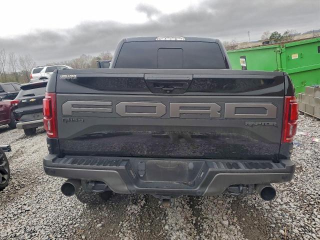 Ford F-150 Raptor Image 12