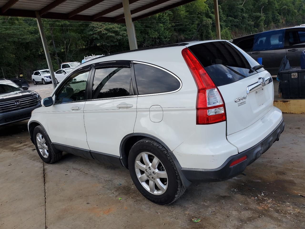 Honda Crv Exl Image 6