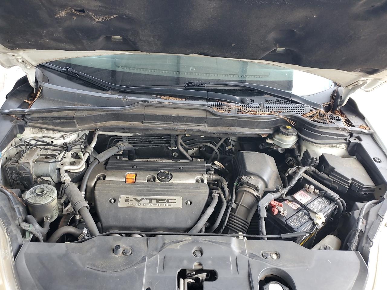 Honda Crv Exl Image 5