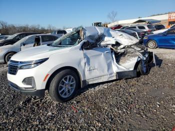  Salvage Chevrolet Equinox