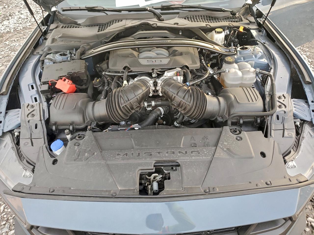 Ford Mustang Dark Horse Image 8