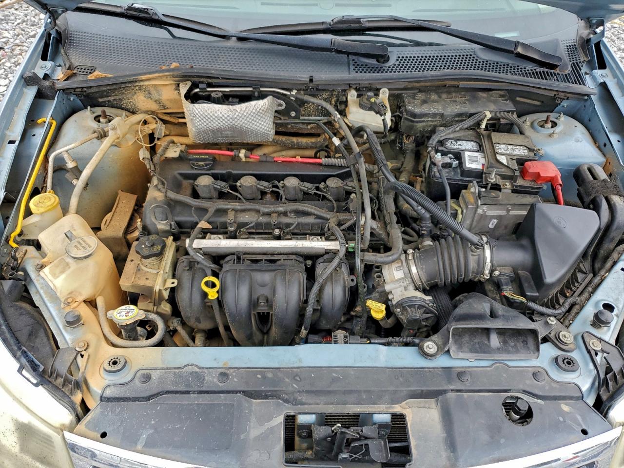 Ford Focus Sel Image 10