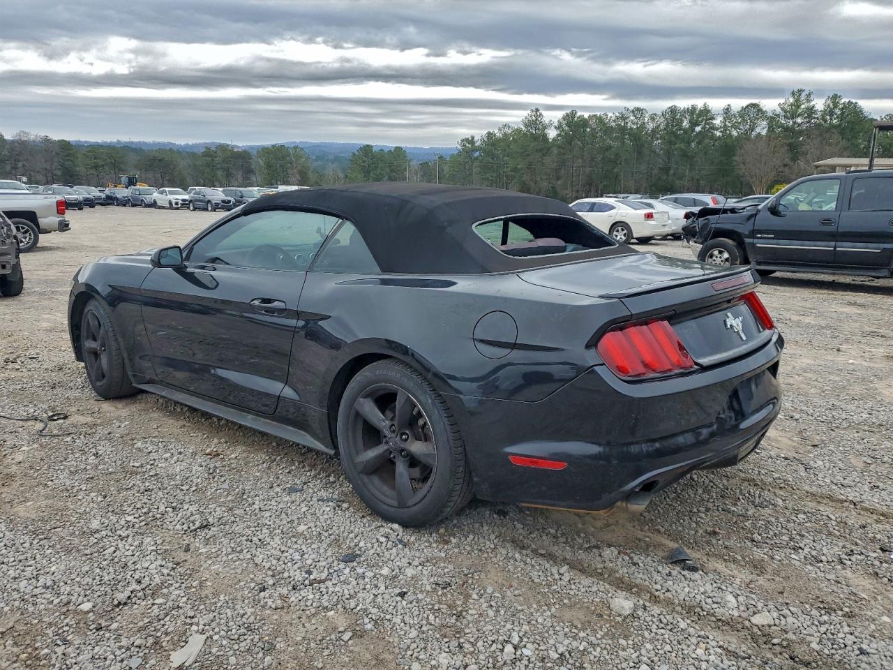 Ford Mustang Image 2