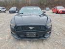Ford Mustang Image 5