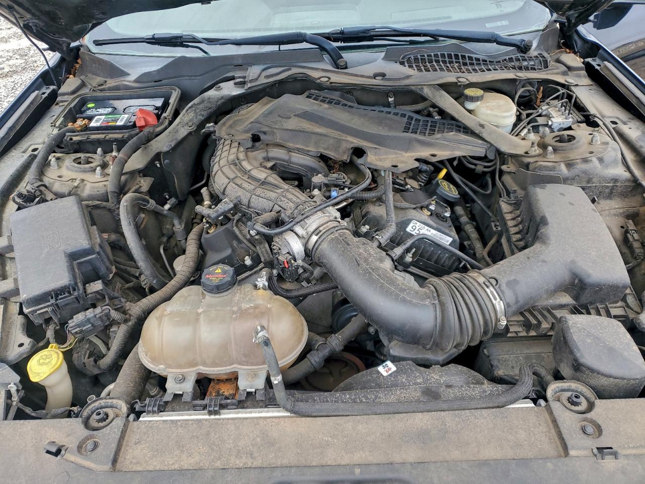 Ford Mustang Image 12