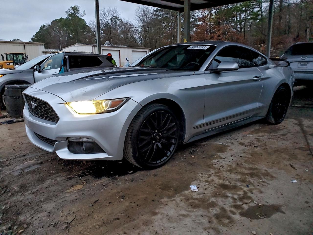 Ford Mustang Image 1