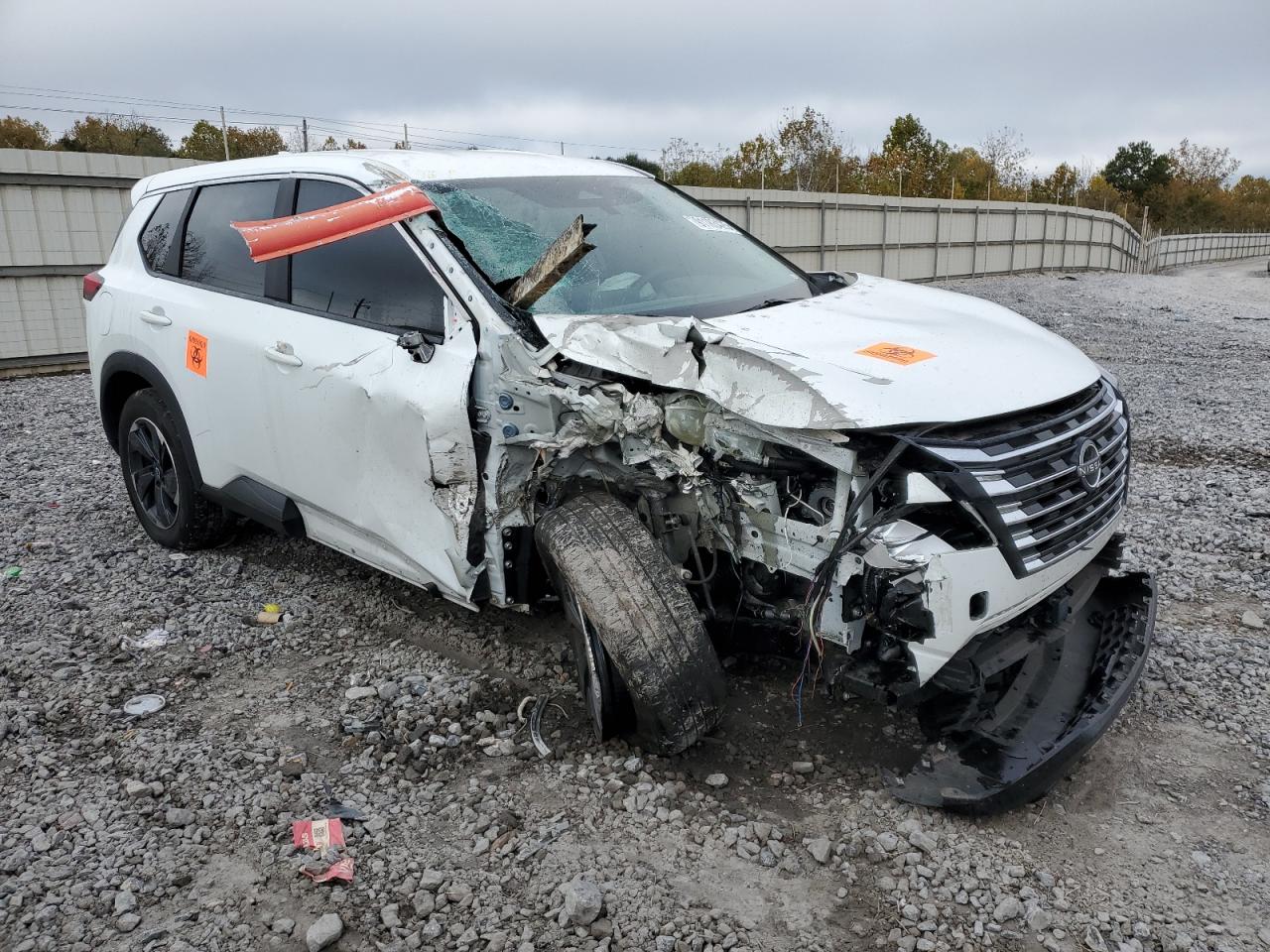 Nissan Rogue Sv Image 2