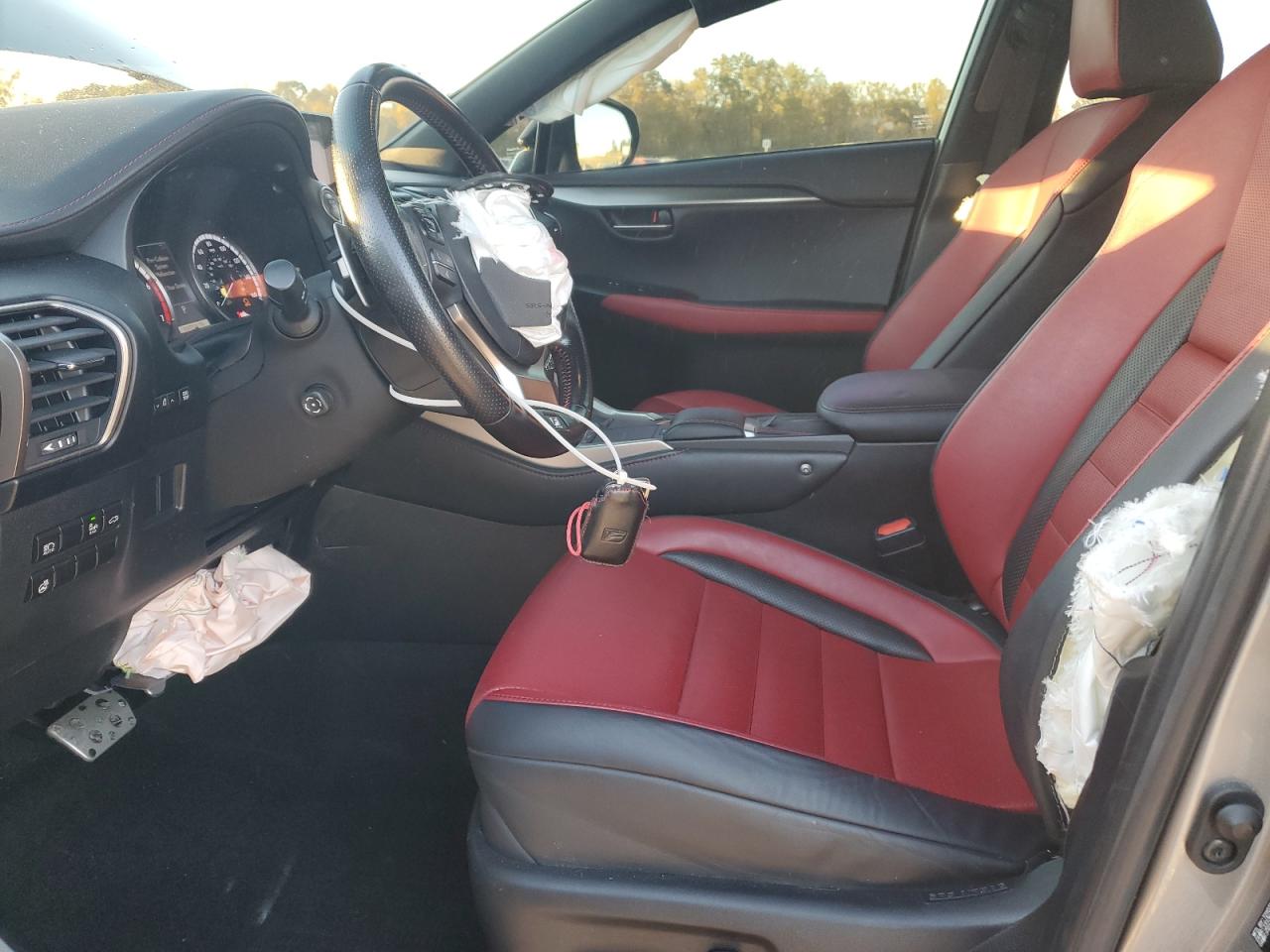 Lexus NX 300 F Sport Image 11