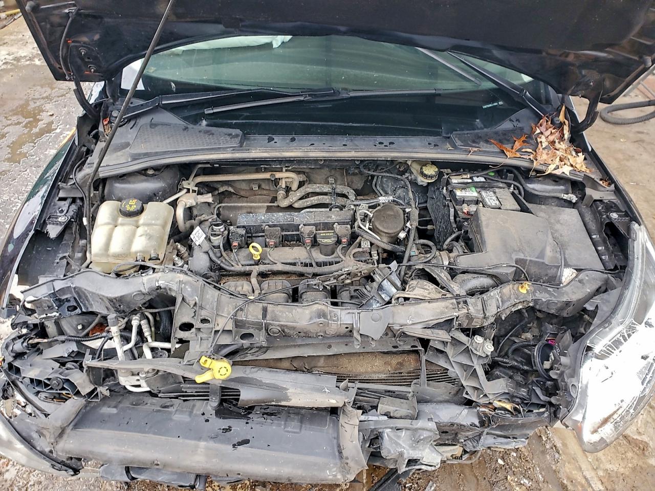 Ford Focus Se Image 10