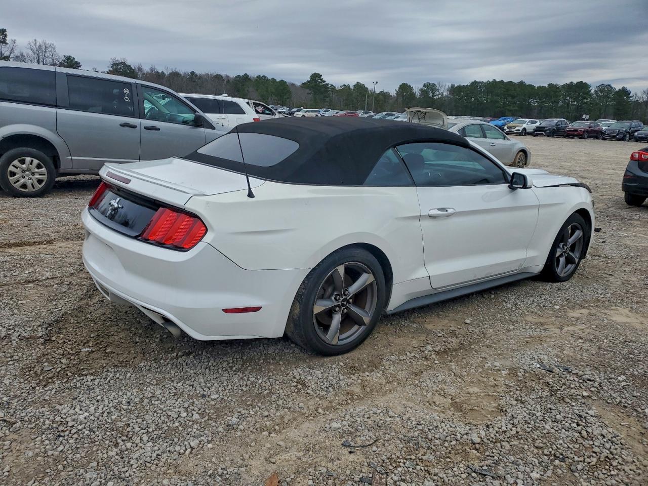 Ford Mustang Image 3