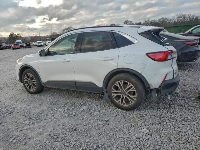 Ford Escape Sel Image 6