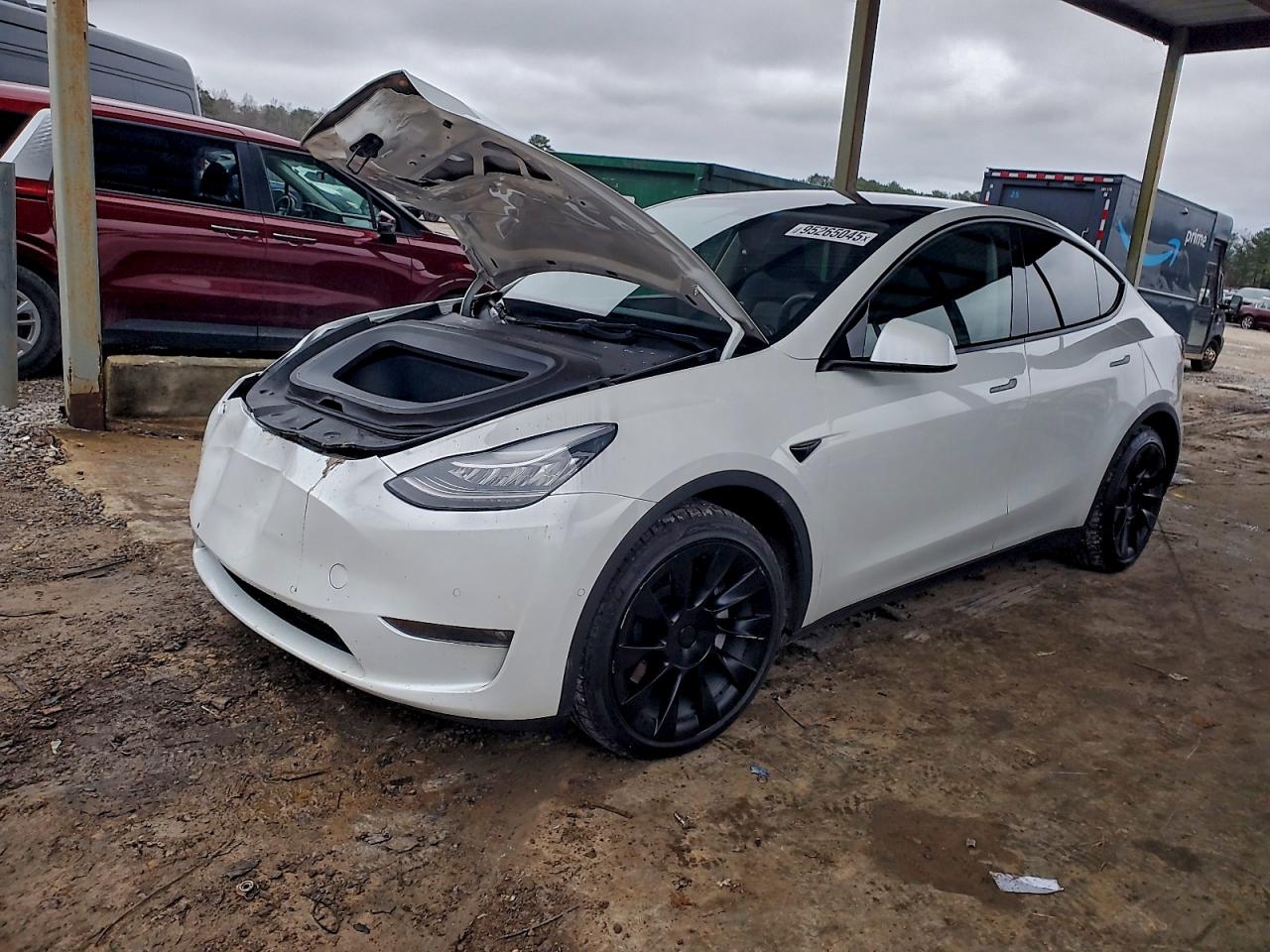 Tesla Model Y Image 1