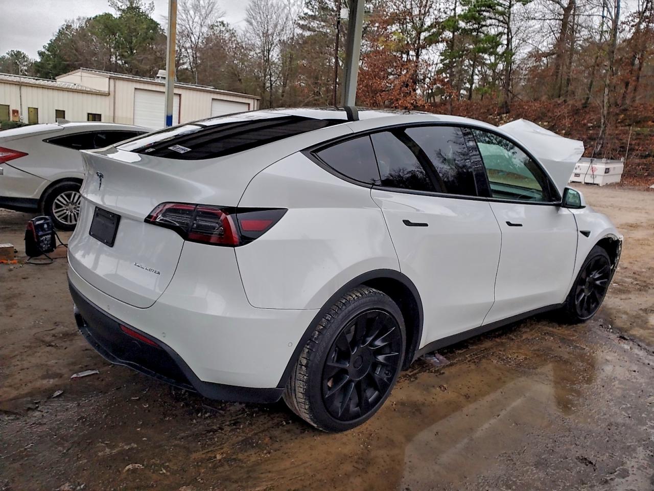 Tesla Model Y Image 11