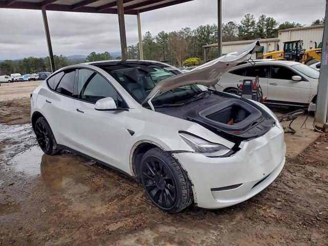 Tesla Model Y Image 9