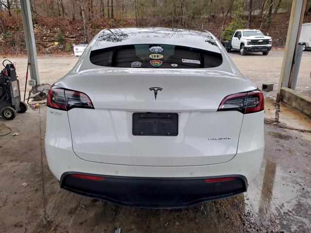 Tesla Model Y Image 4