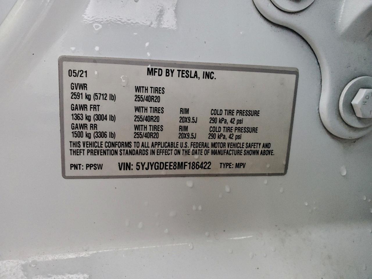 Tesla Model Y Image 7