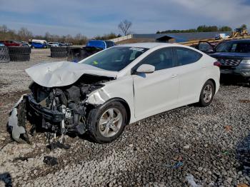  Salvage Hyundai ELANTRA
