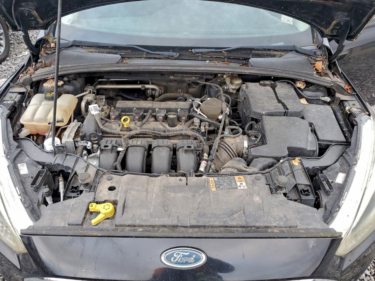 Ford Focus Se Image 4