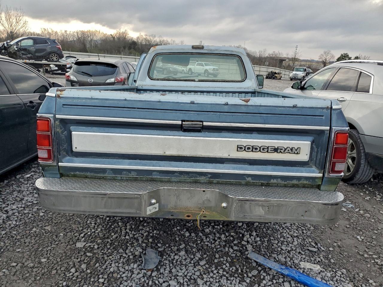 Dodge D Series D150 Image 4