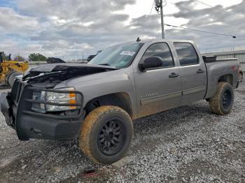  Salvage Chevrolet Silverado