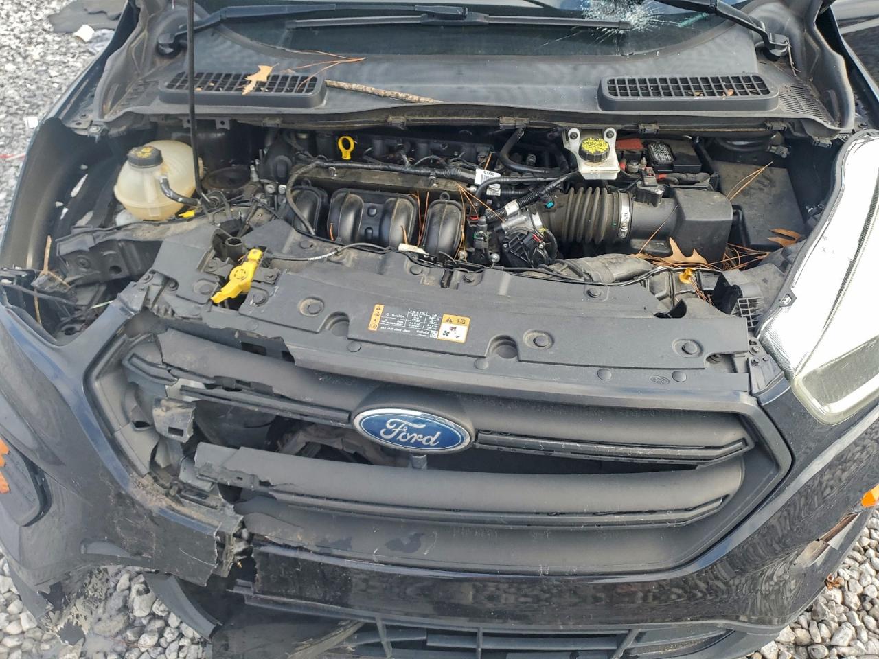 Ford Escape S Image 12